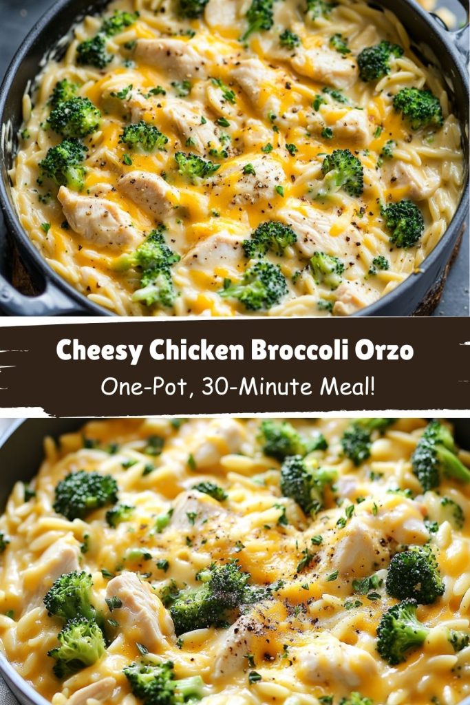 Cheesy Chicken Broccoli Orzo